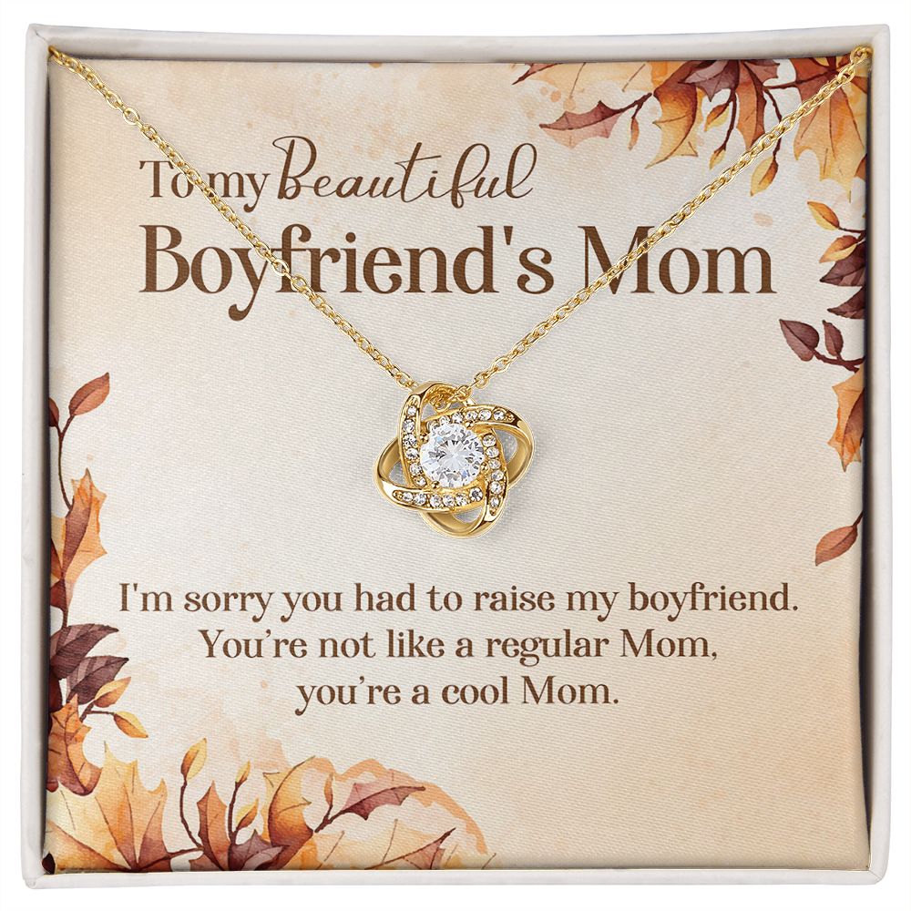 To My Boyfriend's Mom Necklace, Gift for Boyfriend Mother