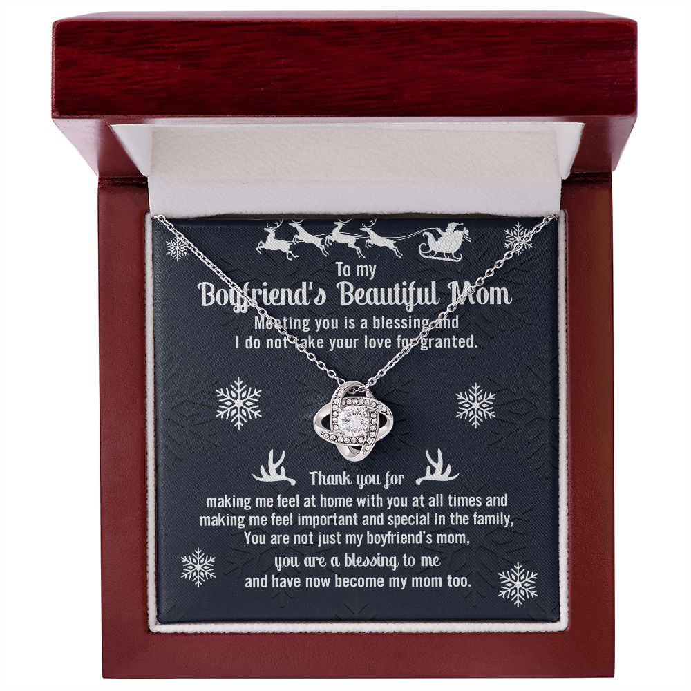 Meeting You Is A Blessing And I Do Not Take Your Love For Granted - Mom Necklace, Gift For Boyfriend's Mom, Mother's Day Gift For Future Mother-in-law