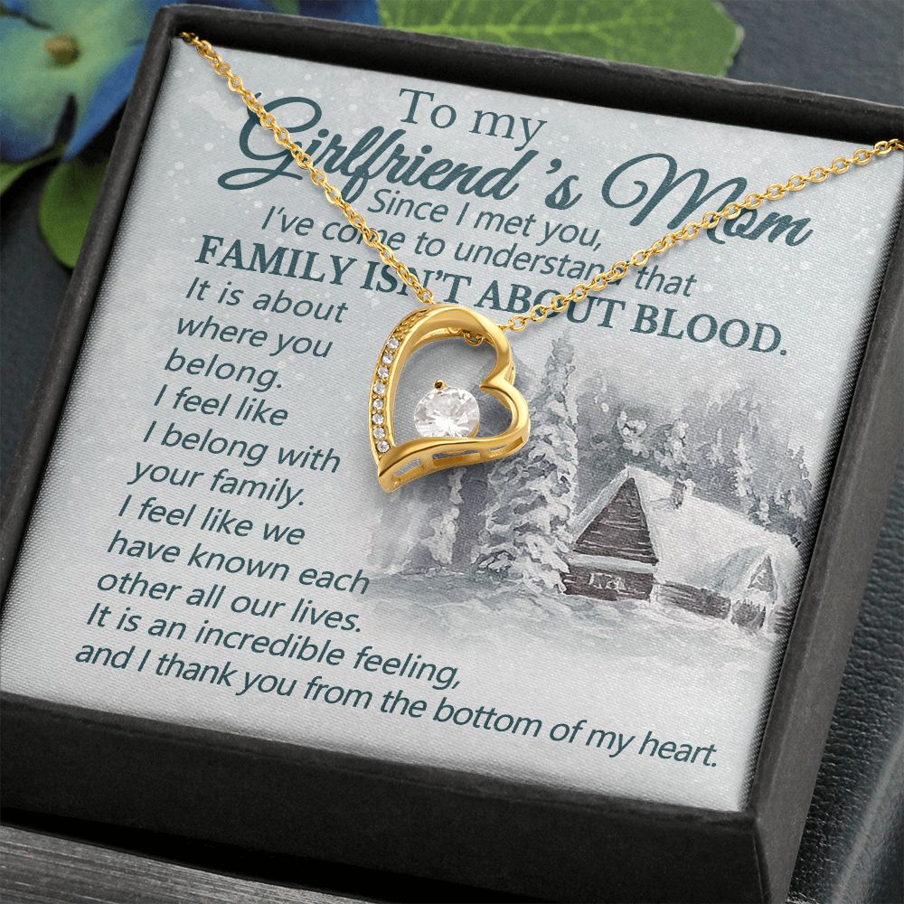 Since I Met You, I've Come To Understand That Family Isn't About Blood - Mom Necklace, Gift For Girlfriend's Mom, Mother's Day Gift For Future Mother-in-law